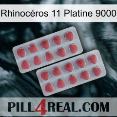 Rhinocéros 11 Platine 9000 19